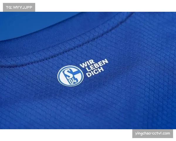 沙尔克04主场改造计划公布，将引入更先进的数据采集系统